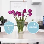 Apartament Arkadia na Kazimierzu